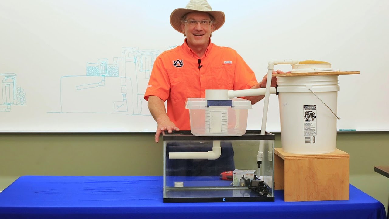 Mini DIY Aquaponics System