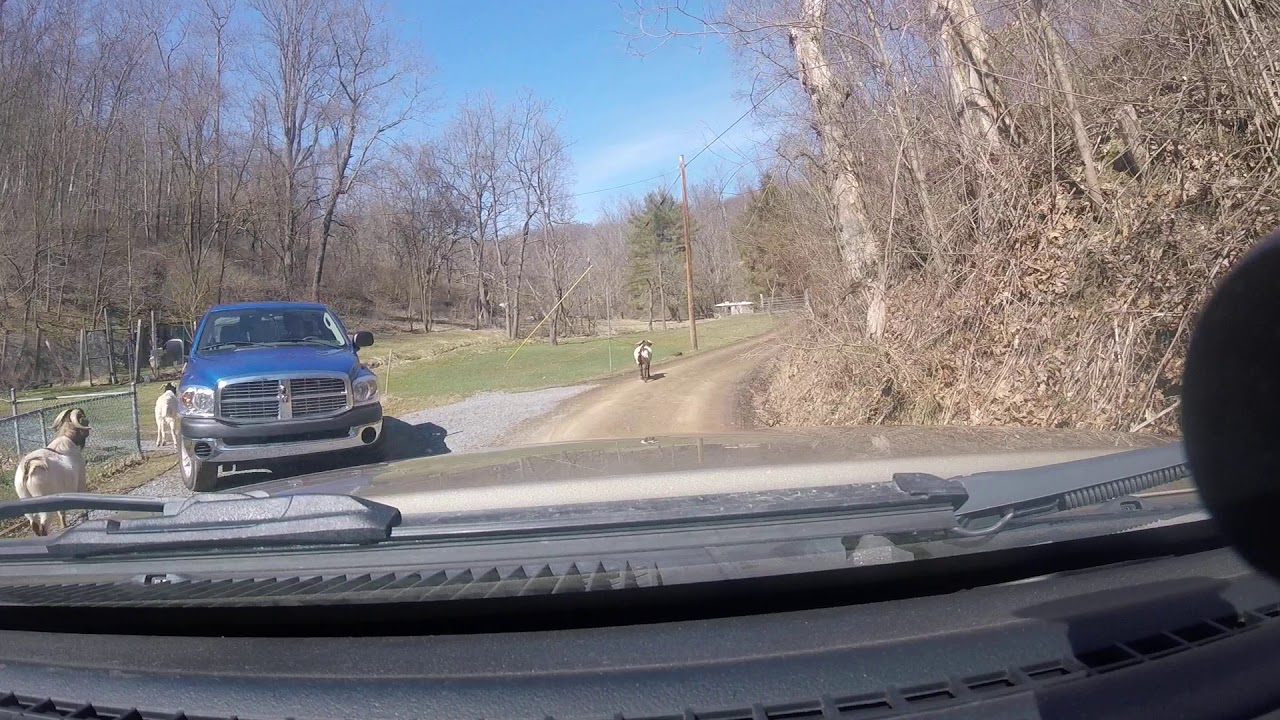 @jackoffroad county road shortcut