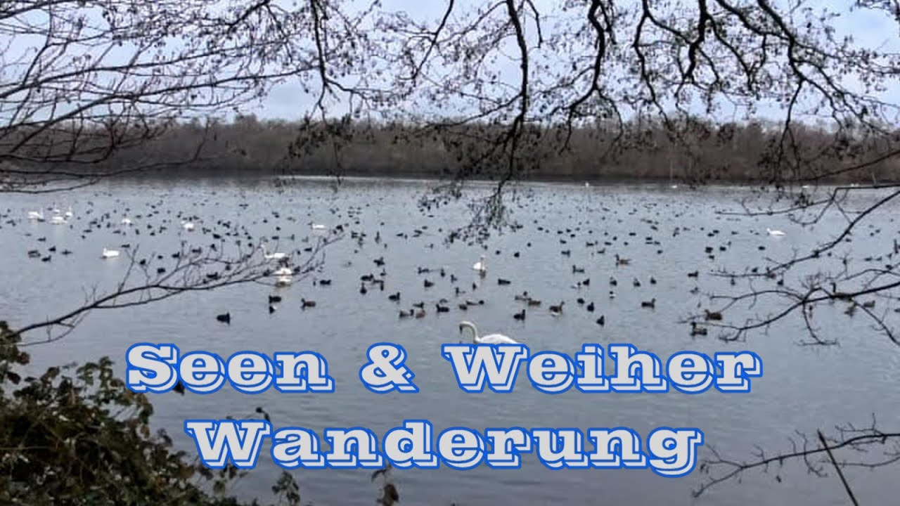 Seen & Weiher Wanderung #hiking #seen
