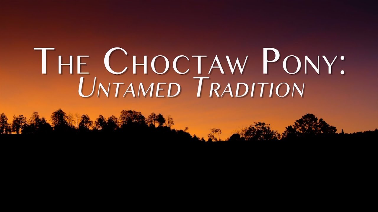 The Choctaw Pony: Untamed Tradition