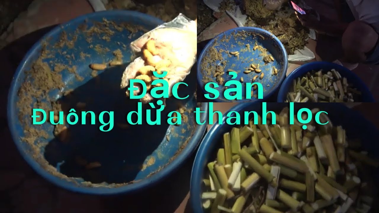 Thu hoạch đuông dừa sau 1 tháng vào giống .