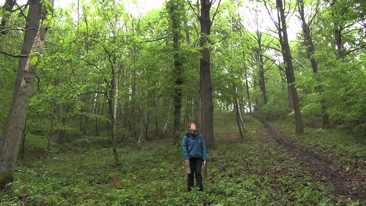 2.Retrouver les limites de ma forêt