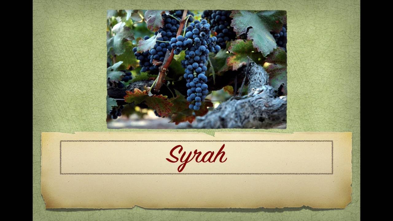 Winecast: Syrah