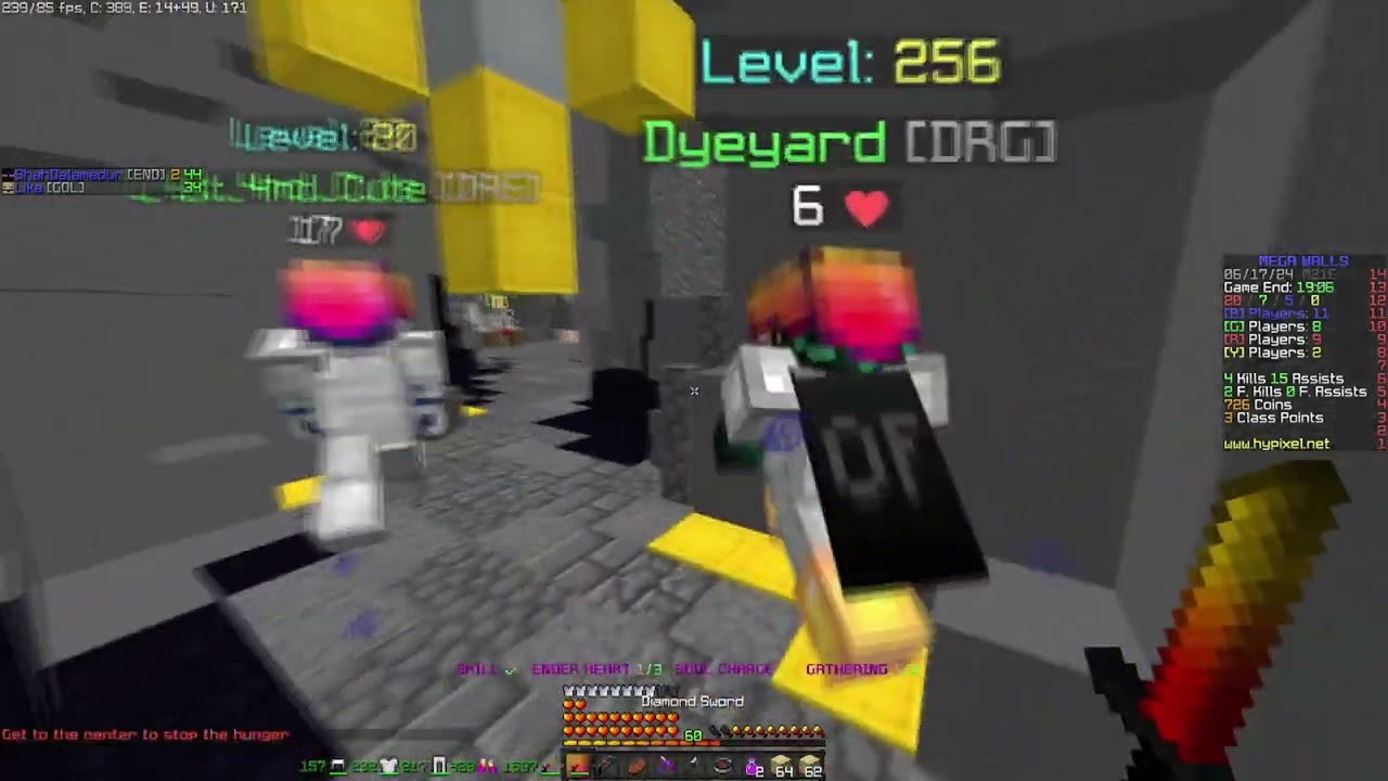 CHEATING WITH ENDERMAN (Megawalls)