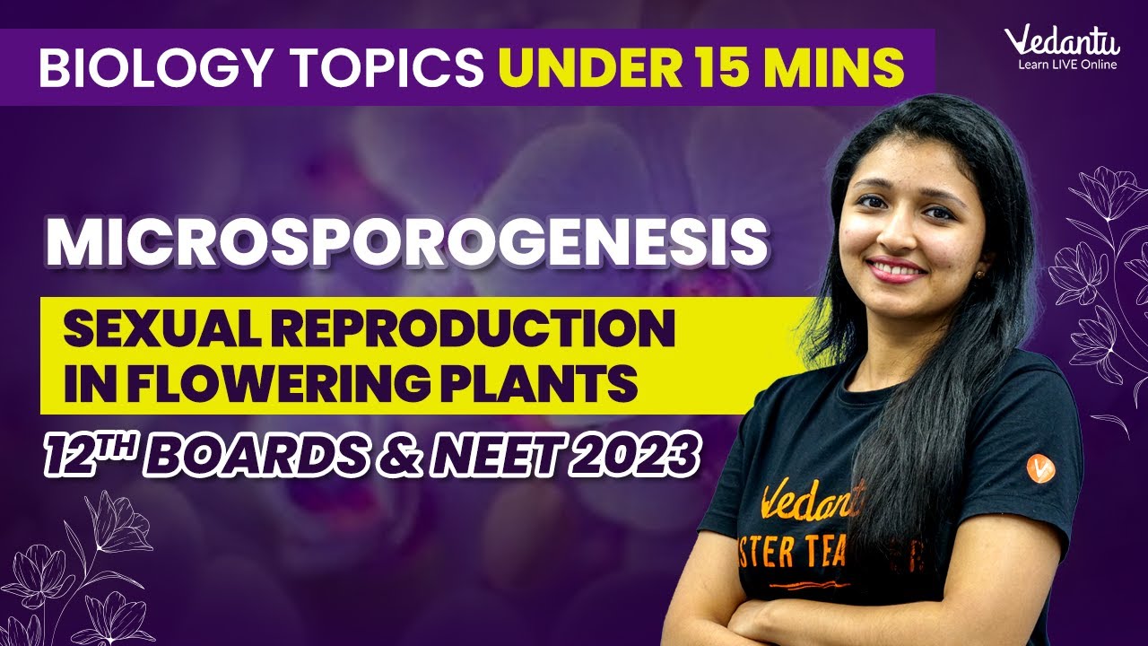 Microsporogenesis: Sexual reproduction in flowering plants| 12th Boards & NEET 2023| Ashima Ma'am