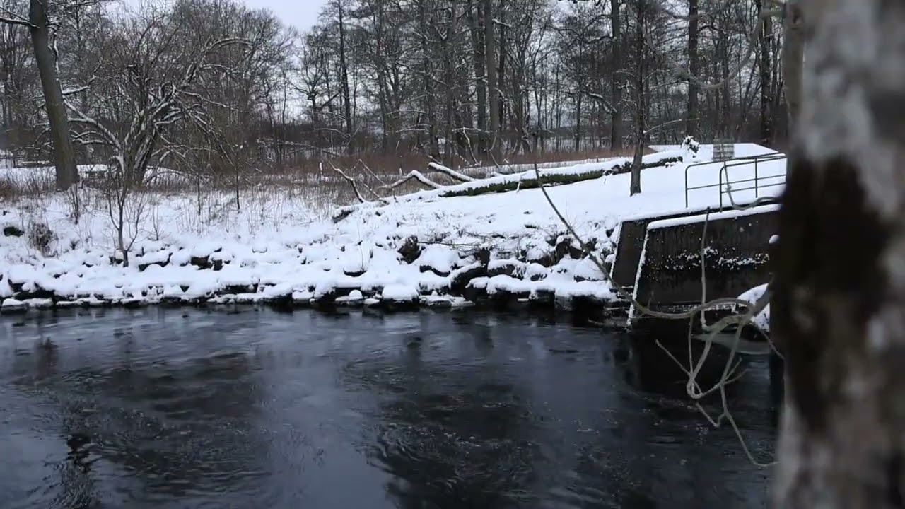 Zaķa pēdas stāsts