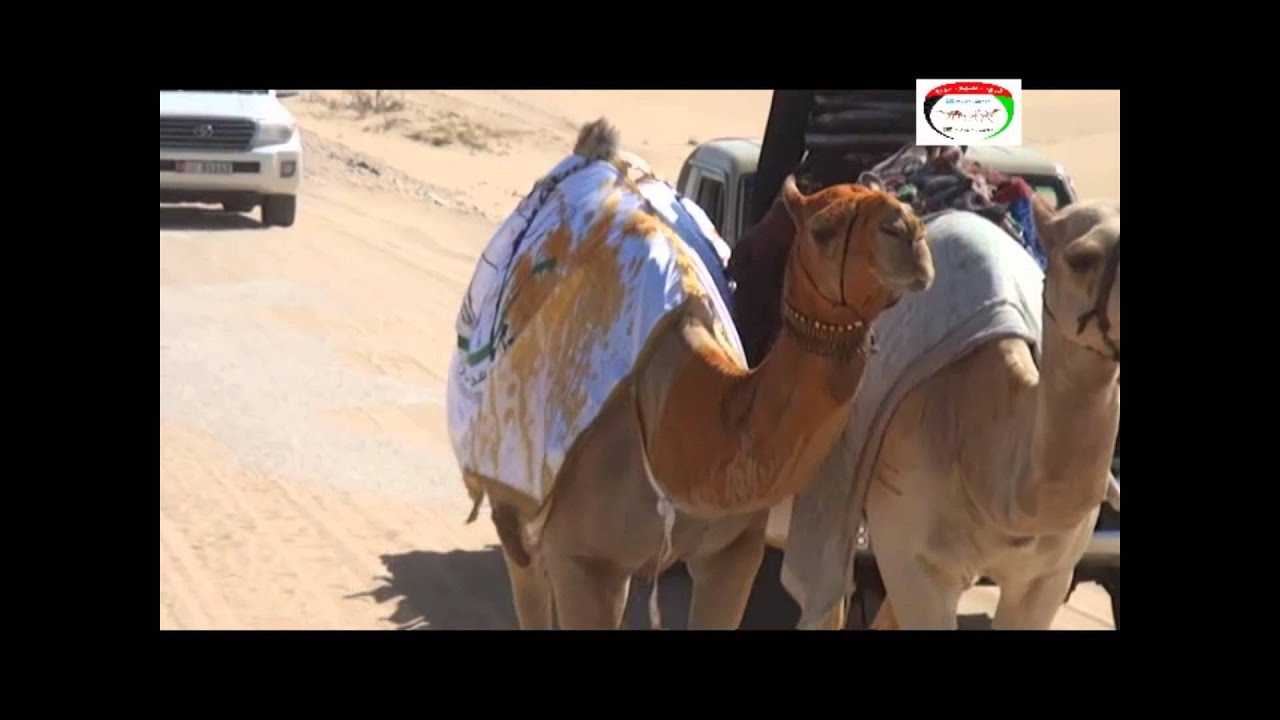 مسيرة مصيحه ملك ناصر بن نخيره الخيلي