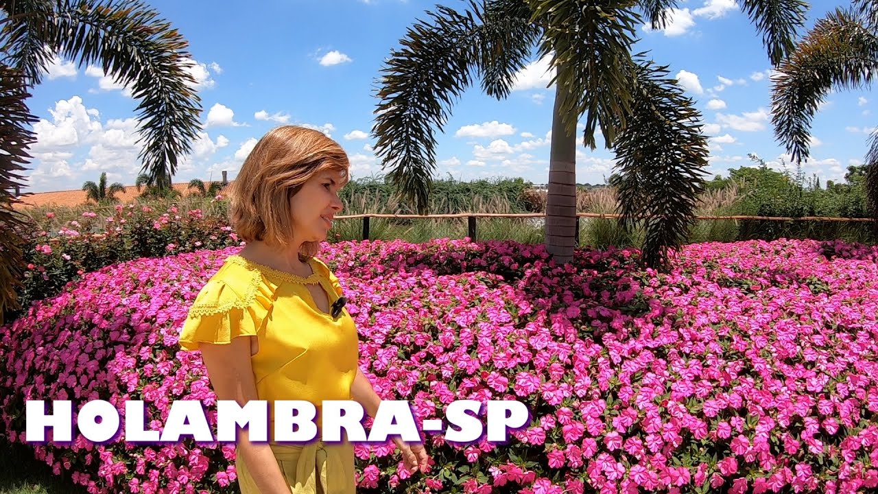 HOLAMBRA! ÓTIMA CIDADE PARA MORAR NO INTERIOR DE SP.