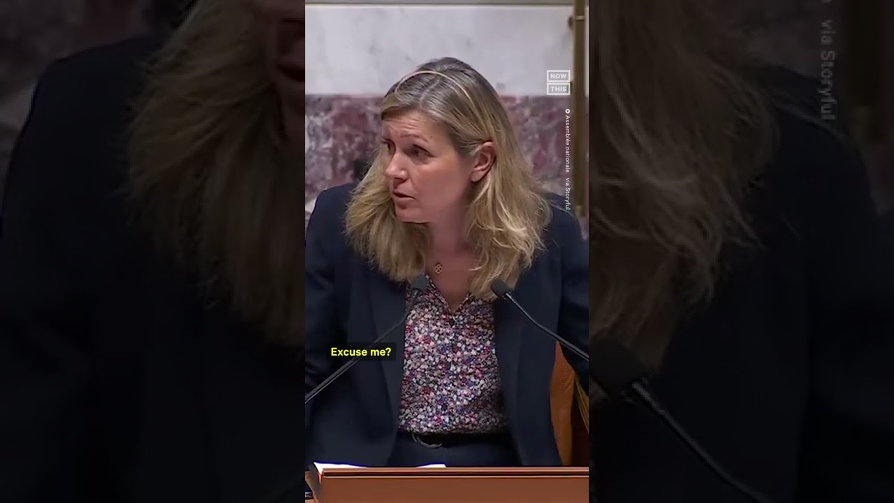 Lawmaker Yells 'Go Back to Africa' at French MP Carlos Martens Bilongo