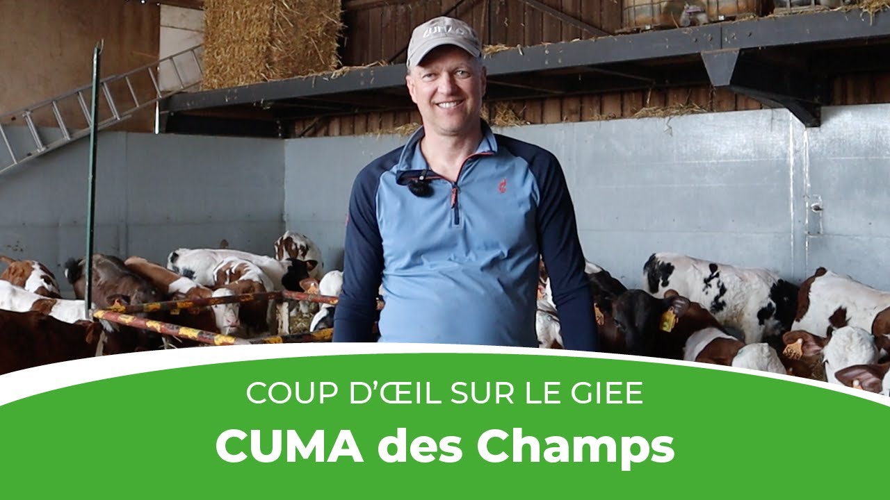Coup d'œil sur le GIEE de la CUMA des Champs