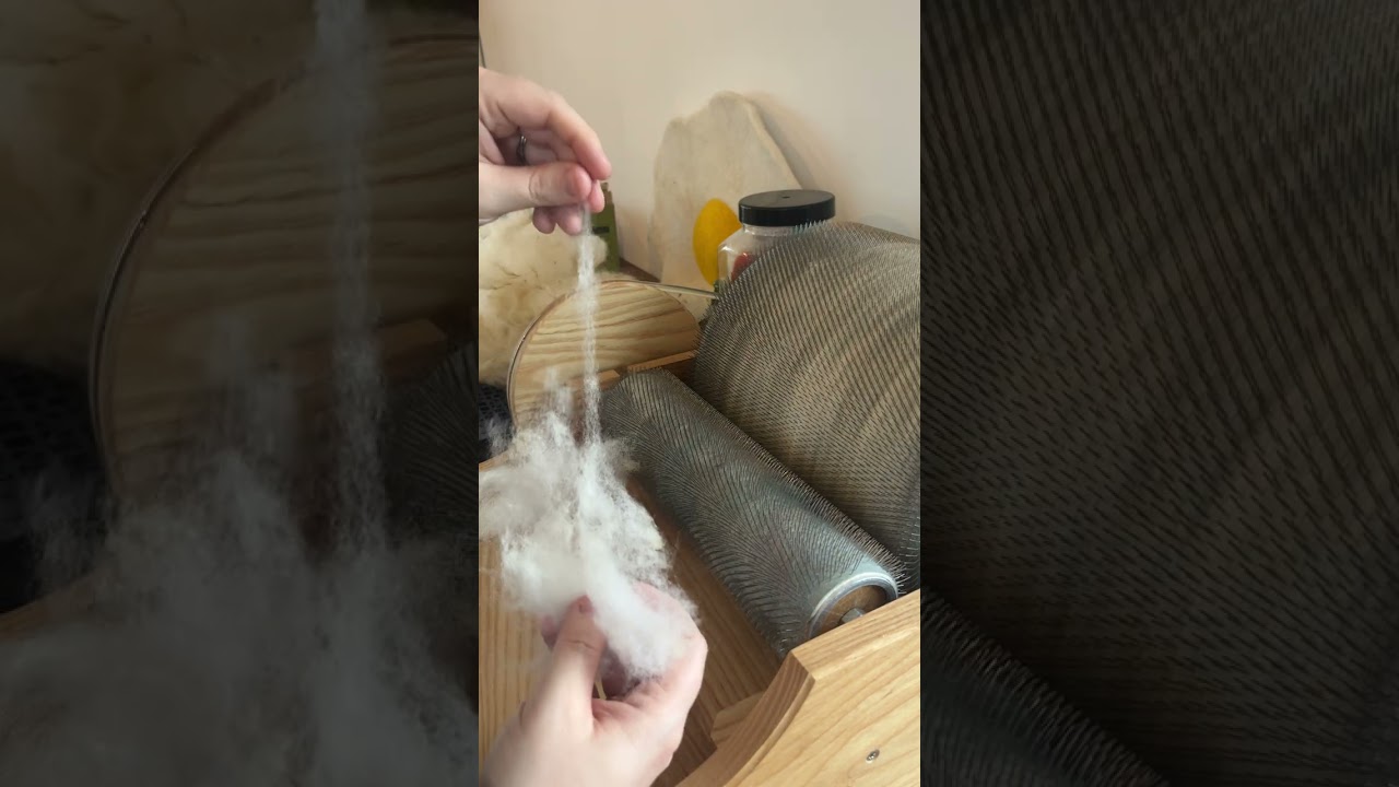 Prep a fleece on the drum carder with me 
