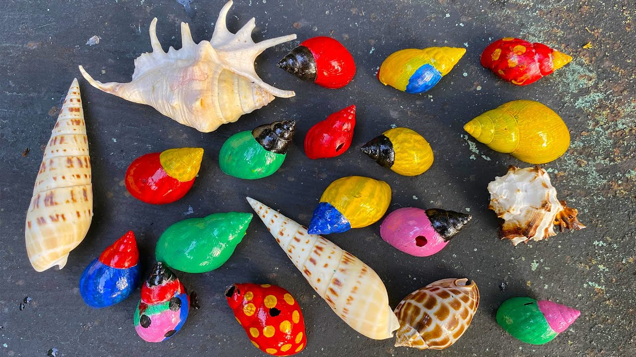 HUNTING SNAILS! Berburu Hewan Bekicot Dan Menemukan Banyak Cangkang Bekicot, Bekicot Siput Keong