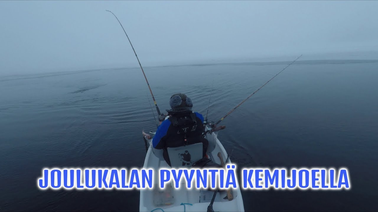 Joulukalan pyyntiä Kemijoella