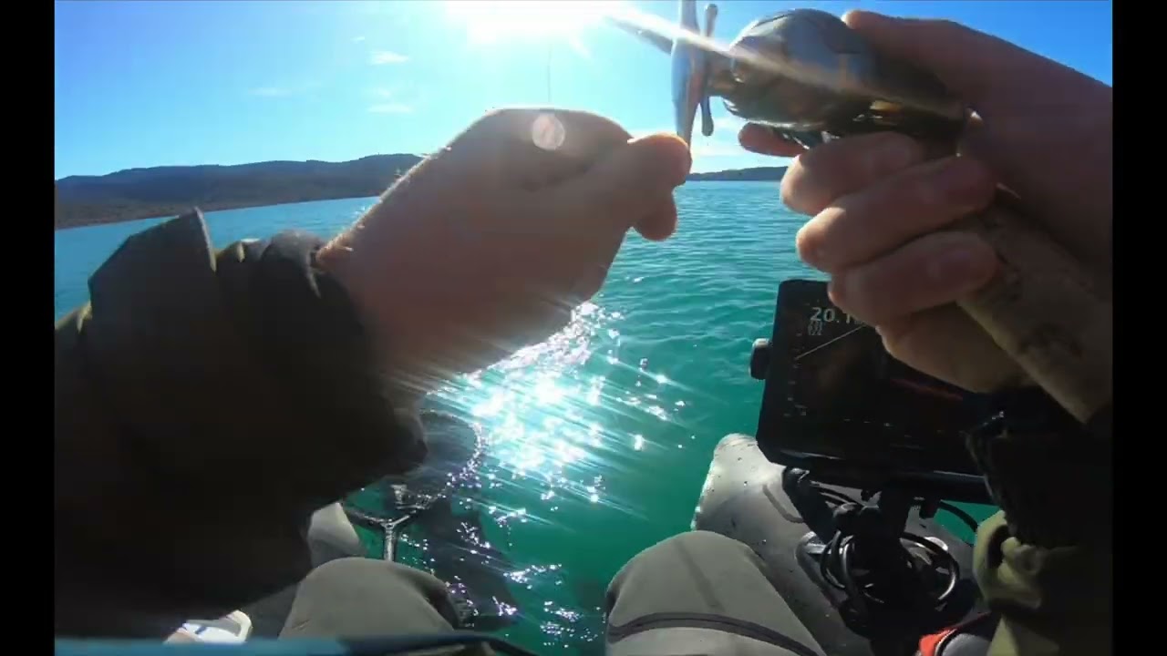 ESPECTACULAR PELEA TRUCHA COMÚN +4KG!!!!!