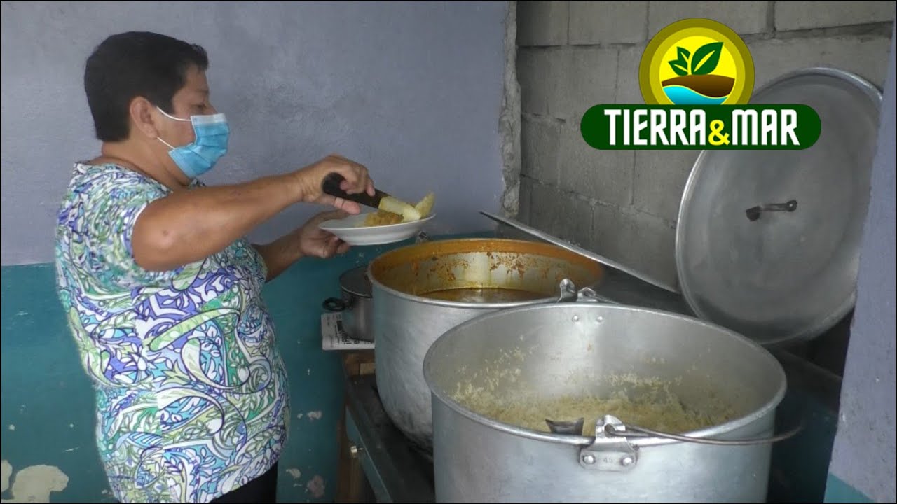 Samborondón Criollo - TYM