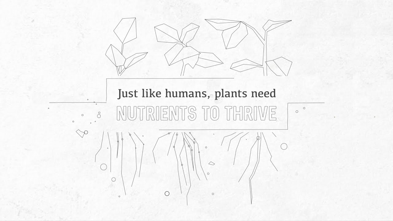 Nutrient Management: Learning the NPK's