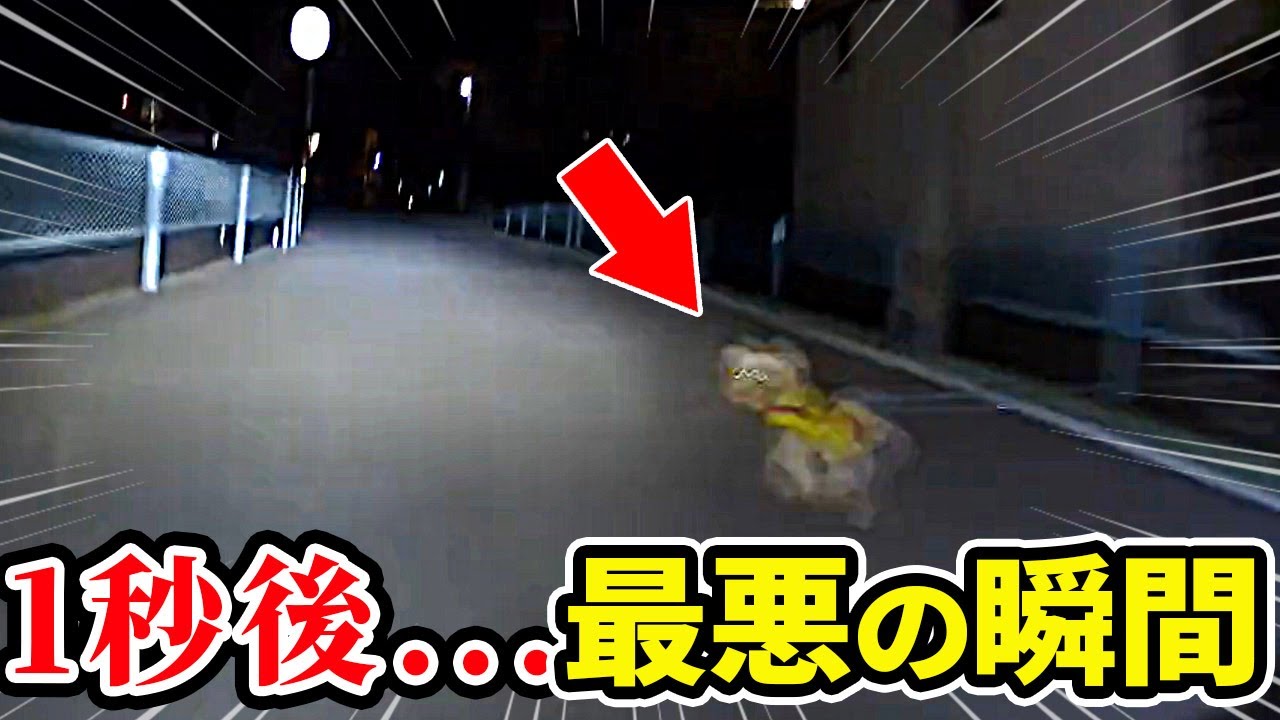 【ドラレコ】道路を走ってると突然ペットが飛び出してきた最悪の瞬間…【交通安全推進、危機予知トレーニング】【スカッと】