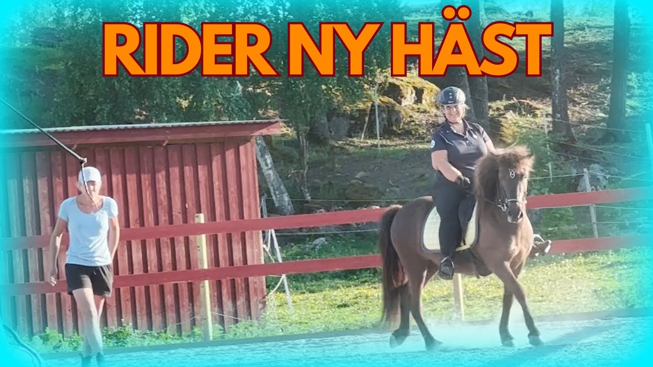 BÖRJAT RIDA NY HÄST. ÅKER PÅ TRÄNING!
