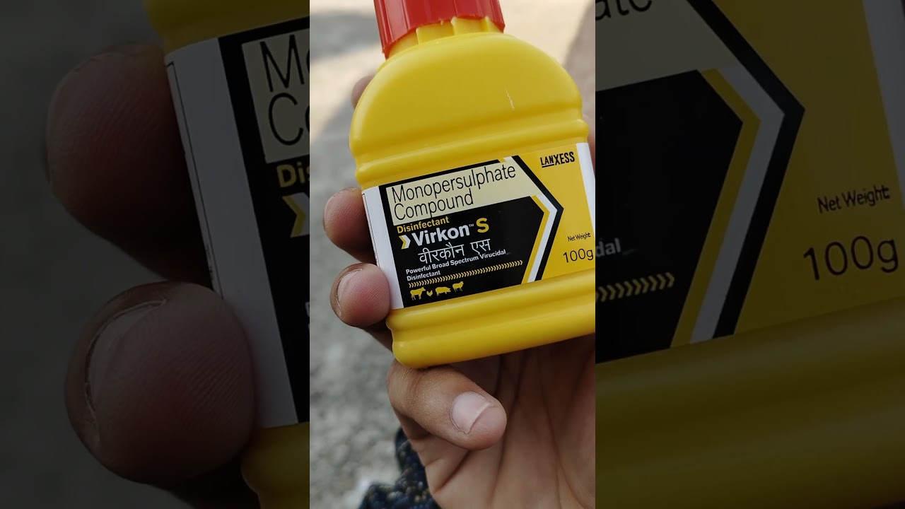 Virkon-S Protection for pigeons #animals #kabootarbazzi #pigeon #virkon #kabutar