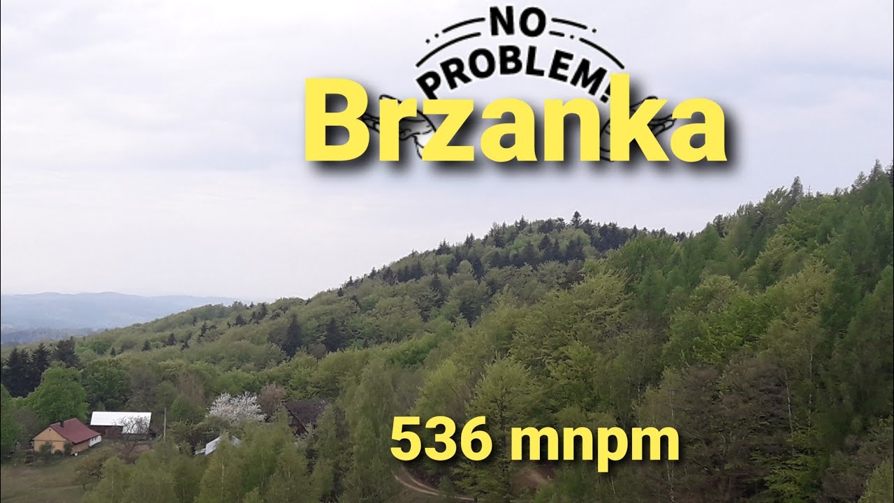 PpM 2020. Brzanka 536 mnpm(ft. Woskar) #13