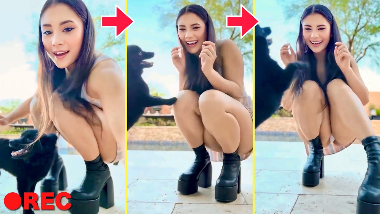 【ペット ハプニング】美しい飼い主と可愛い犬猫達の「面白ペット映像パート5」 | Funny Dog & Cat  Fails Compilation Part.5