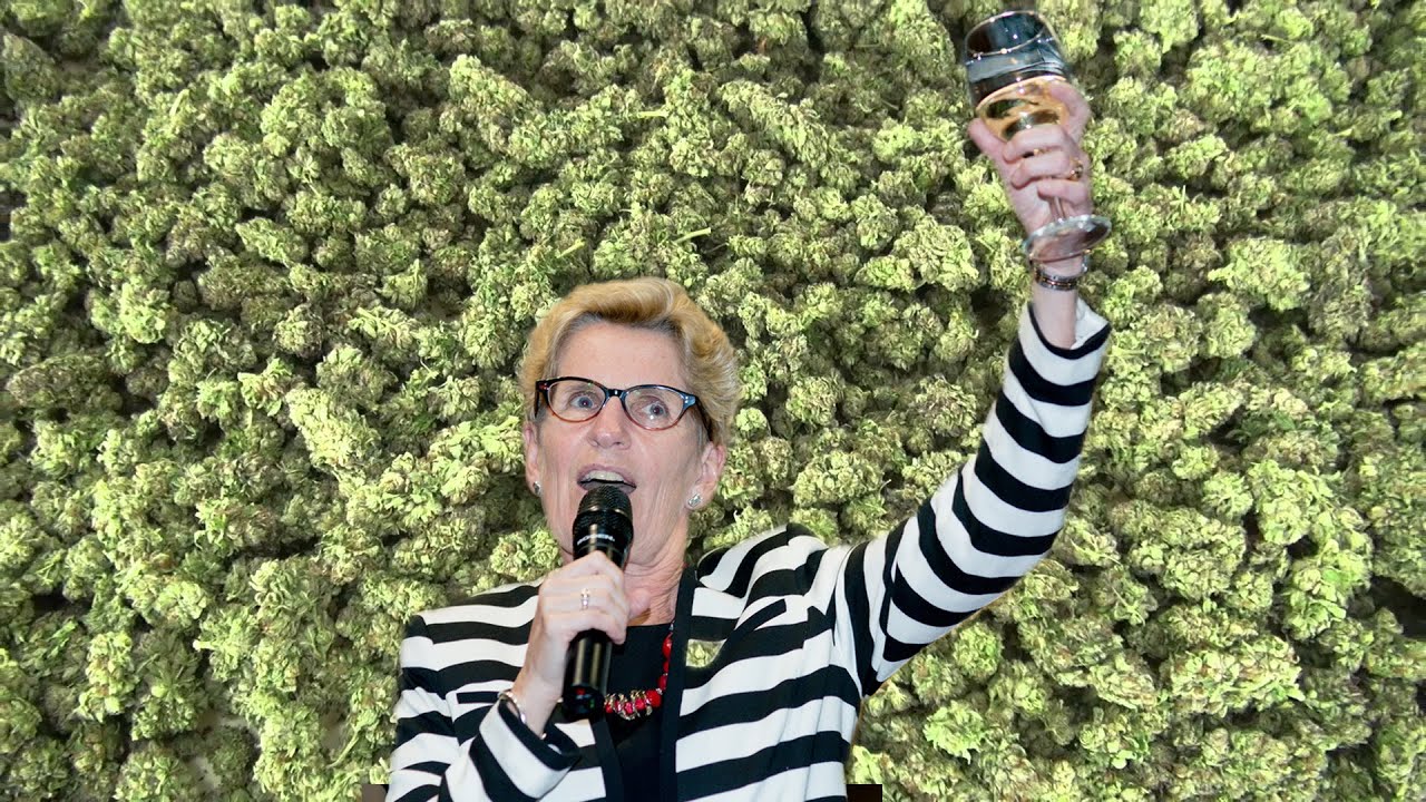 From Under The Seed Desk with Marijuana Man: Drunk Politicians Ban Marijuana