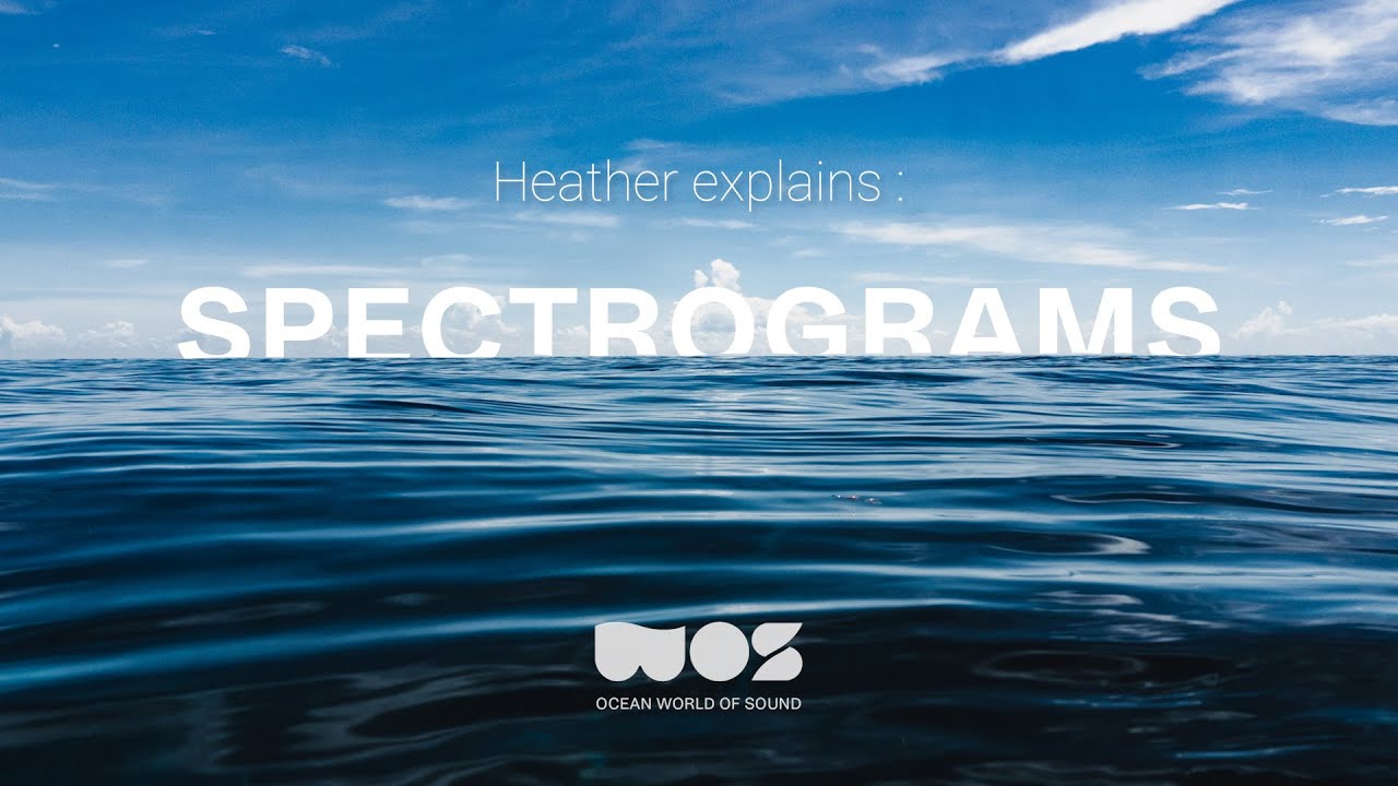 Heather Spence explains: SPECTROGRAM with Chrome Music Lab | Ocean World of Sound