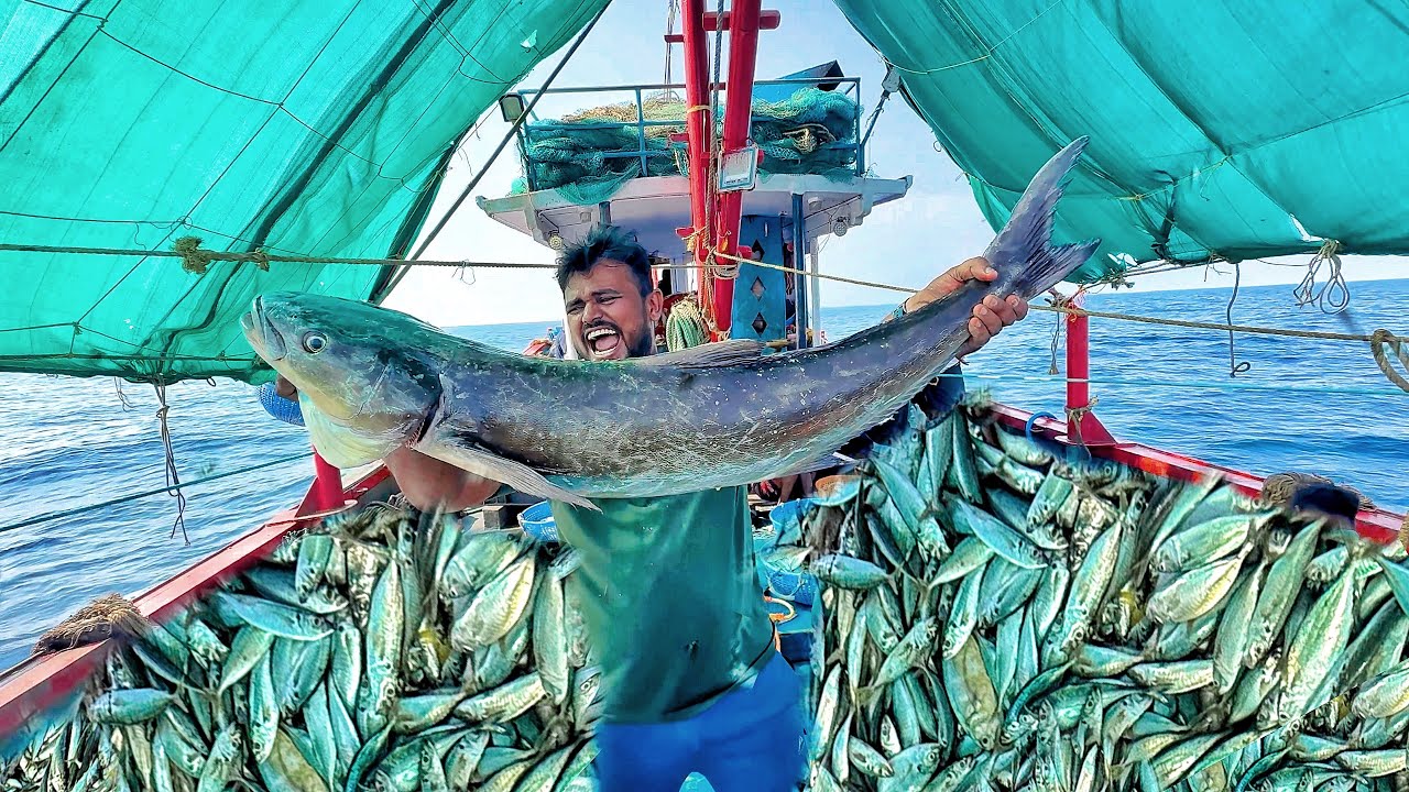 &ldquo;Biggest 20KG Kadavara Catch & Lots of Kozhusal Fish | Traditional Deep Sea Fishing!!!