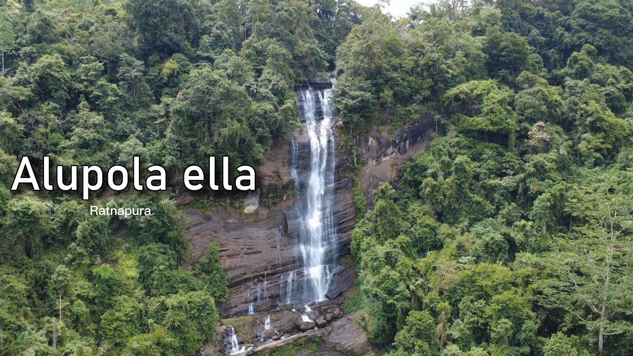 Alupola ella