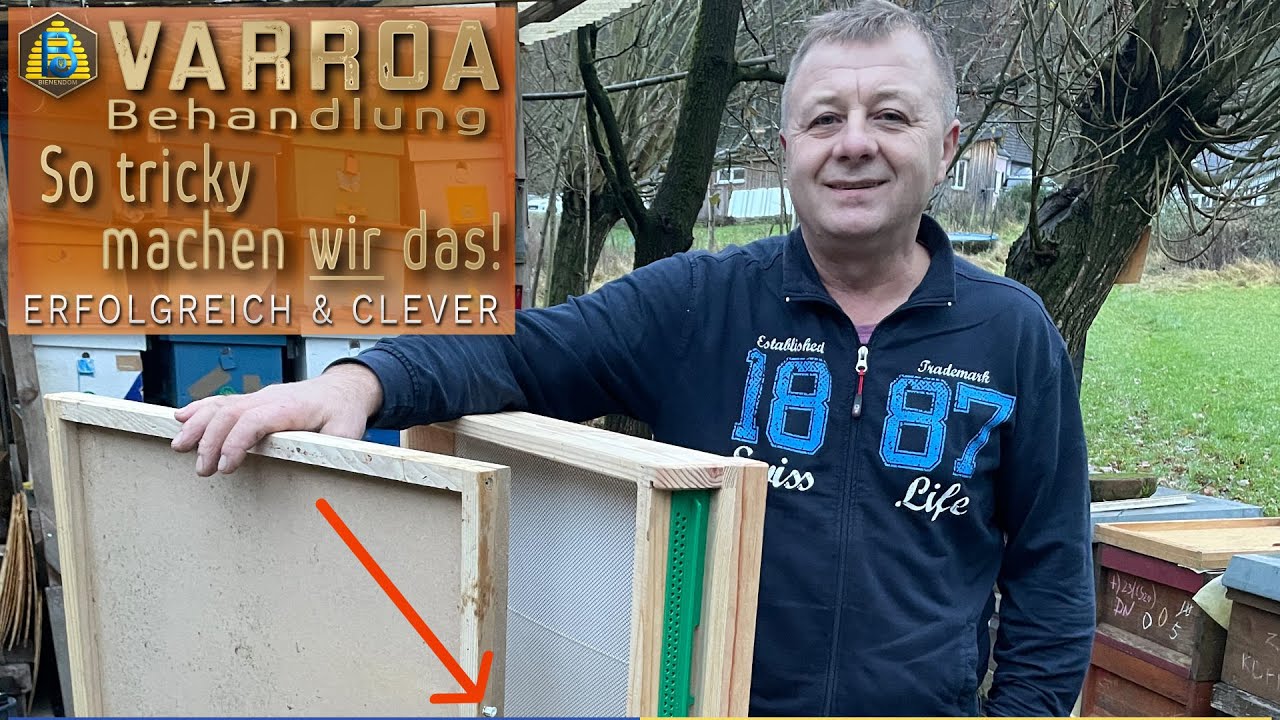 Varroabehandlung | Effektiv & Erfolgreich | Bienendom