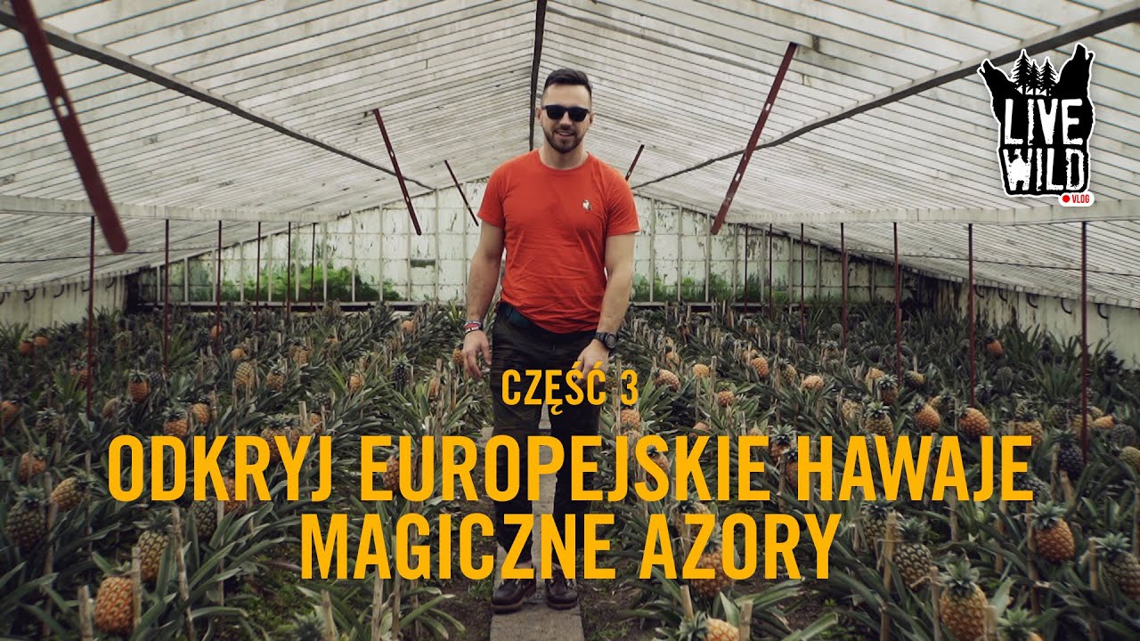 Daily Vlog AZORY #3/10: GORĄCE ŹRÓDŁA W LESIE DESZCZOWYM I PLANTACJA ANANASÓW