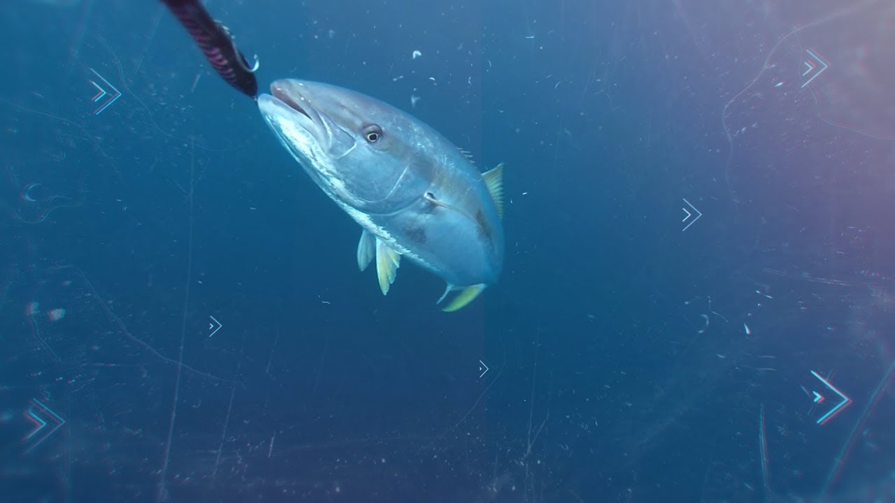 Fishing2Xtremes // Episode 1 - TV Pilot Edit