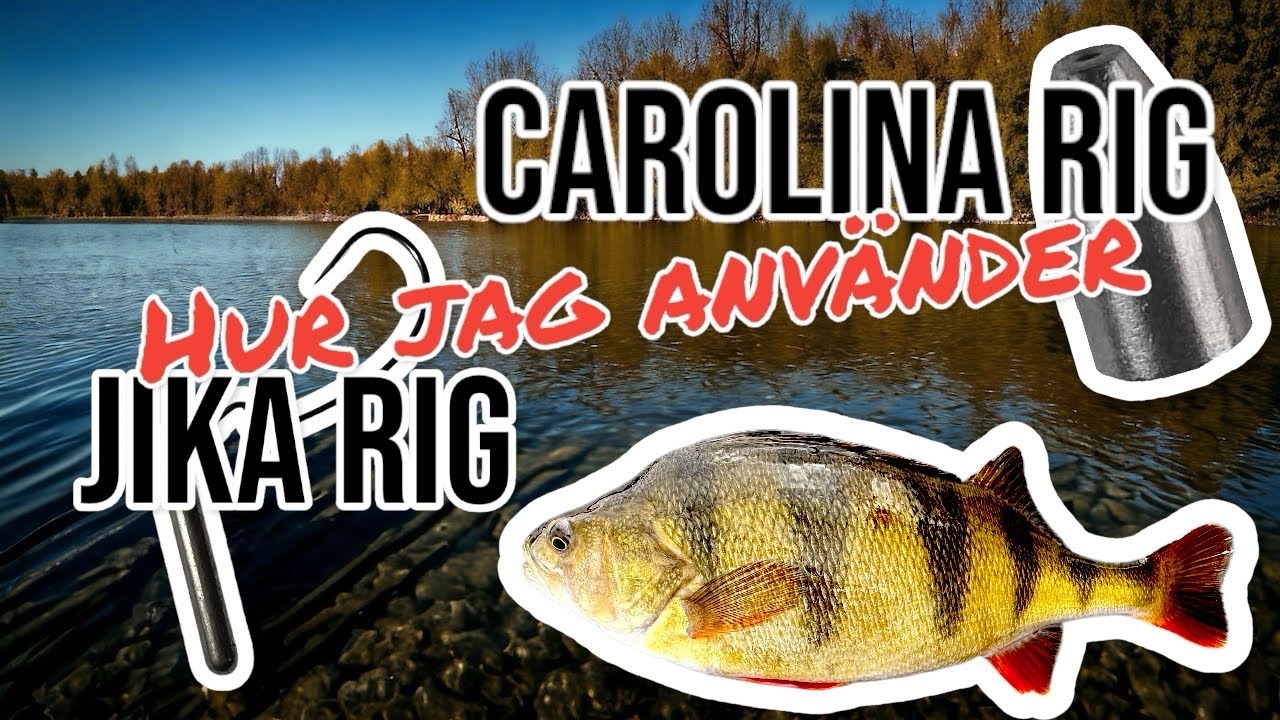 CAROLINA- & JIKA Rig - HUR, VAR & NÄR fiskar jag dessa efter ABBORRE!?