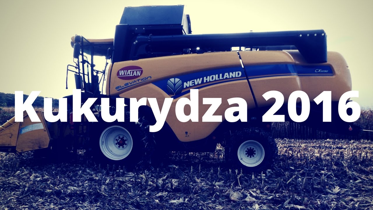 Kukurydza 2016 ☆ New Holland ☆ GR Łanecki ☆ MxnAgroTV