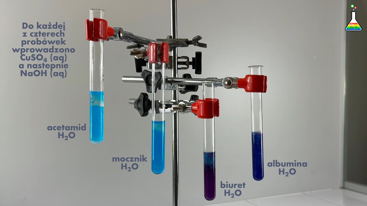 Próba biuretowa #chemia #chemistry