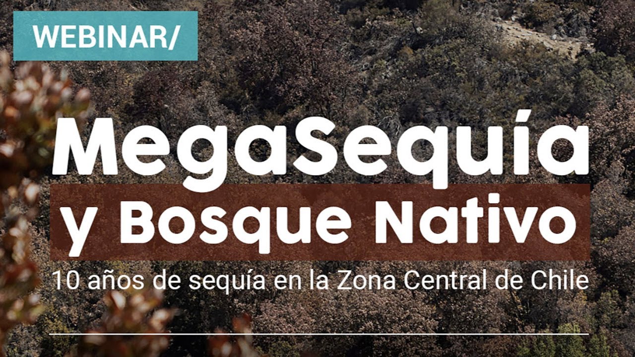 MegaSequía y Bosque Nativo