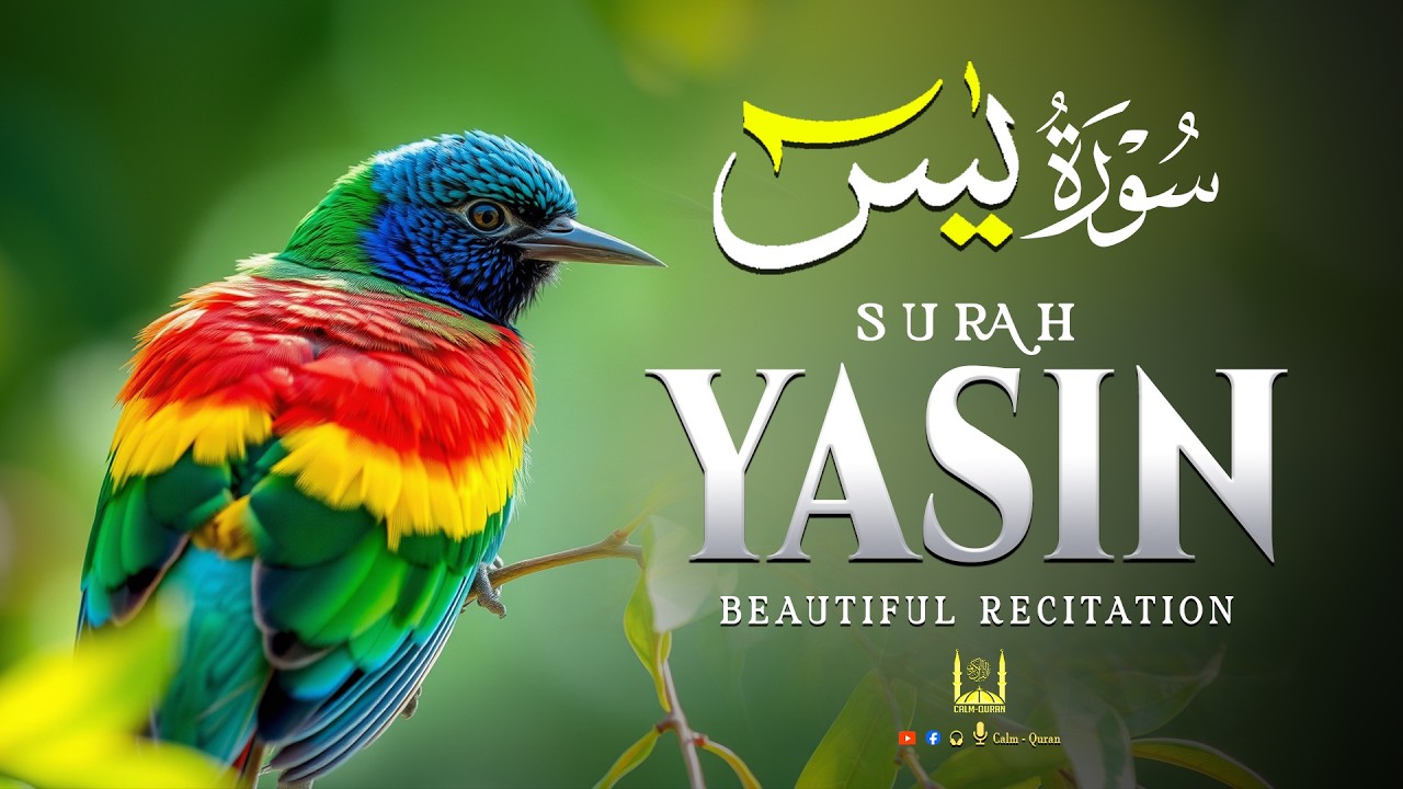 One of the Most Beautiful Voices in the World سورة يس Recitation that soothes the heart💚Surah Yaseen