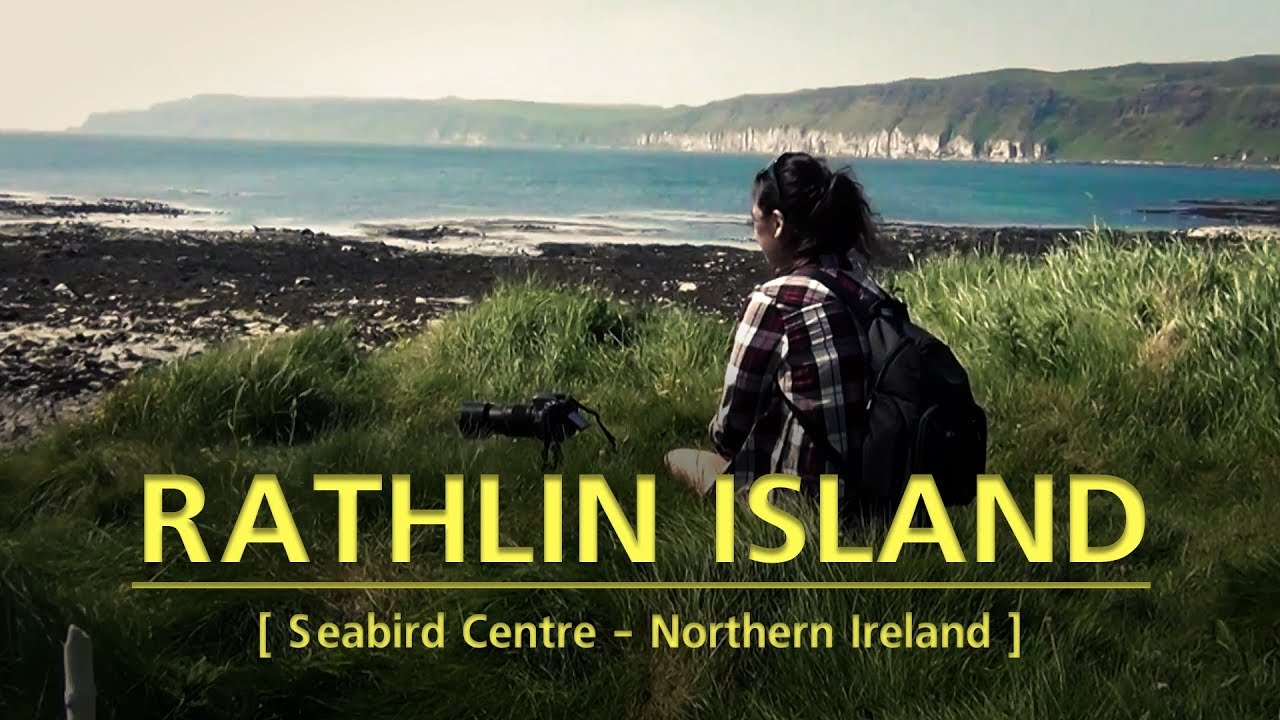Northern Ireland - Rathlin Island - Seabird Centre - Vilin Travel