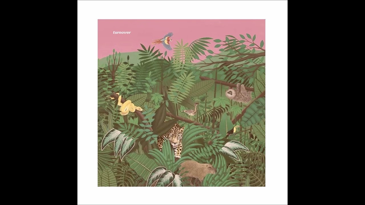 turnover - pure devotion