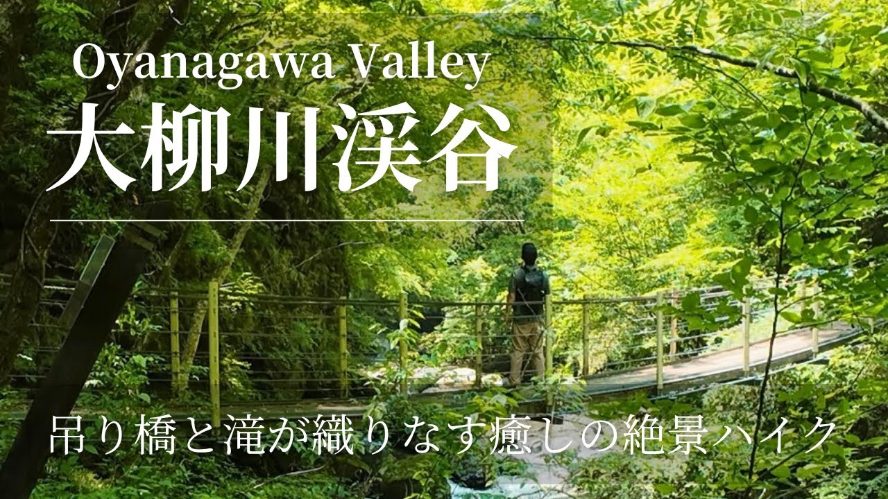 【大柳川渓谷】吊り橋と滝が織りなす癒しの絶景ハイク