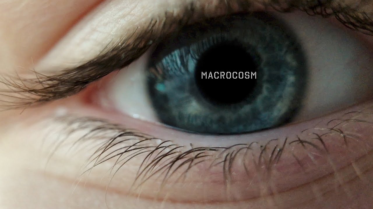 MACROCOSM