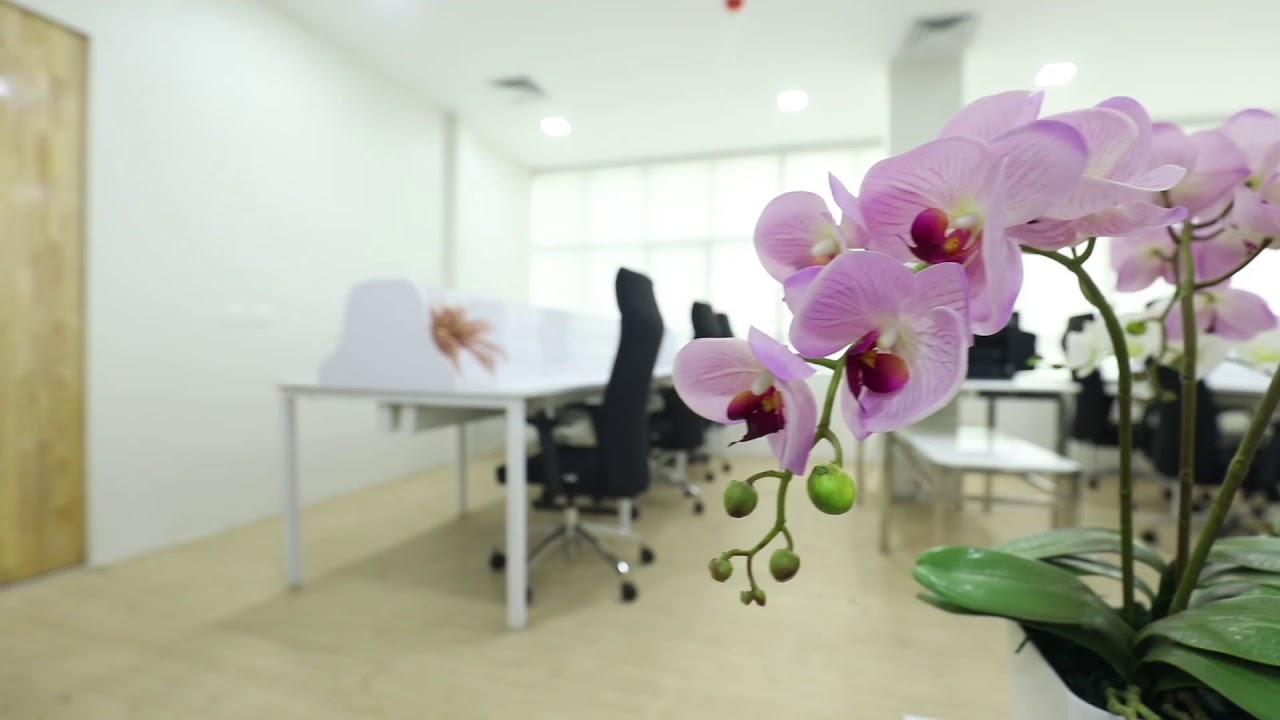 SharenGrow -Sharing Office Space Kochi Kerala