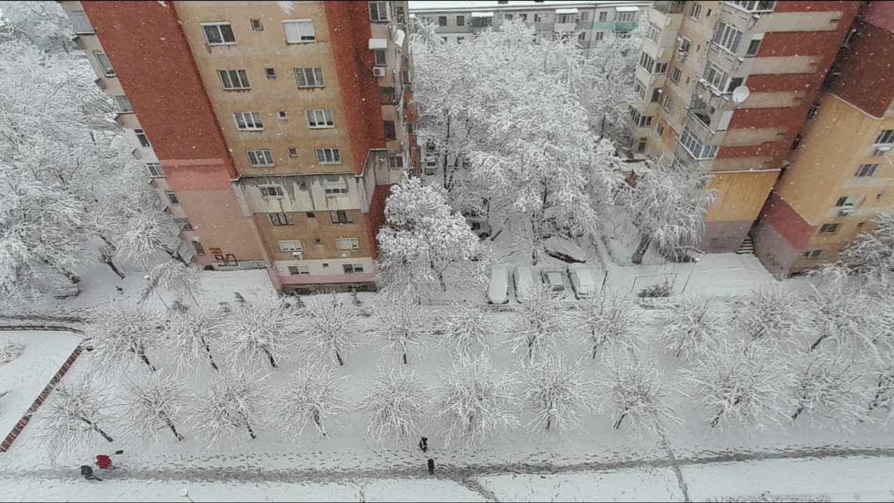 Craiovița