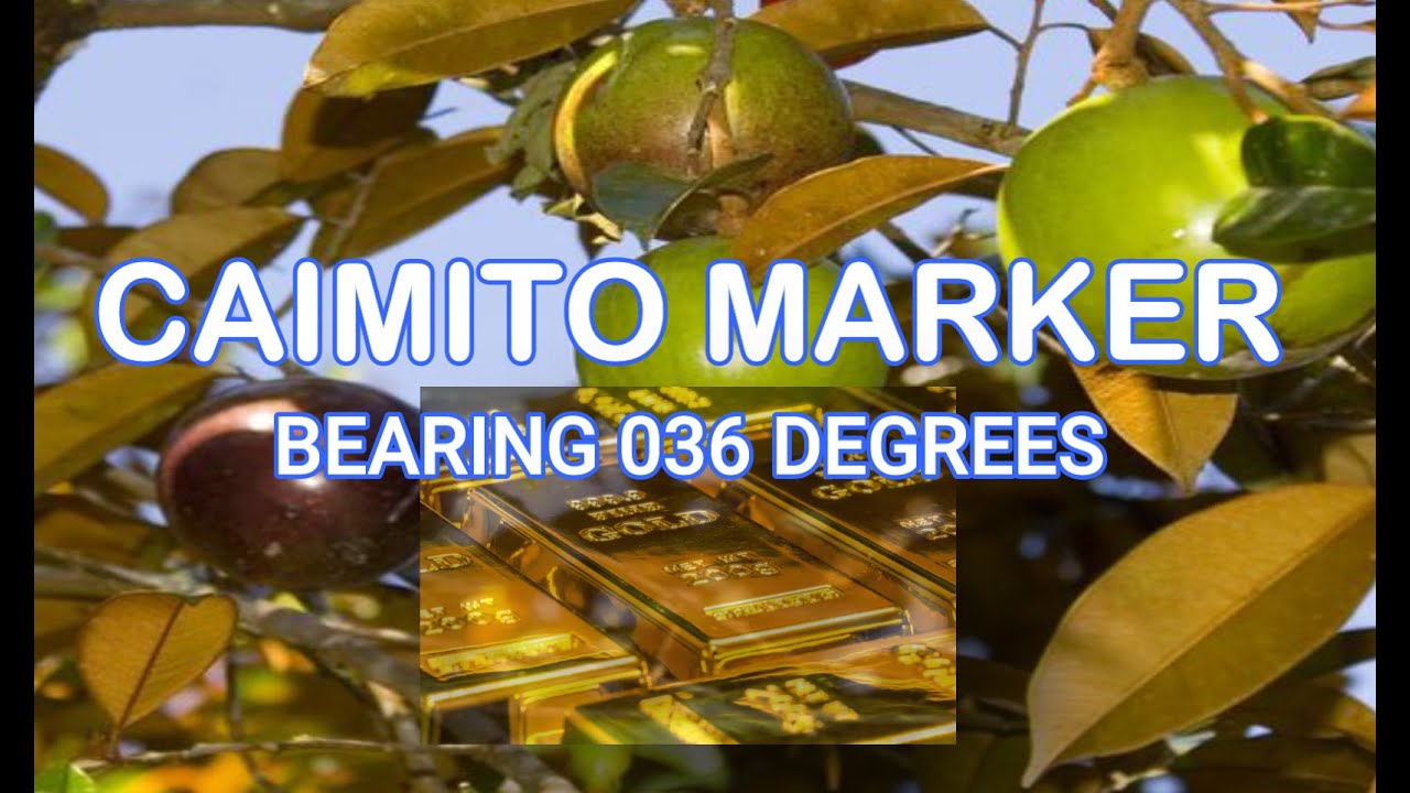 YAMASHITA TREASURE | KAIMITO MARKER | CENTURY KAIMITO TREE AS MARKER | KAIMITO MARKER