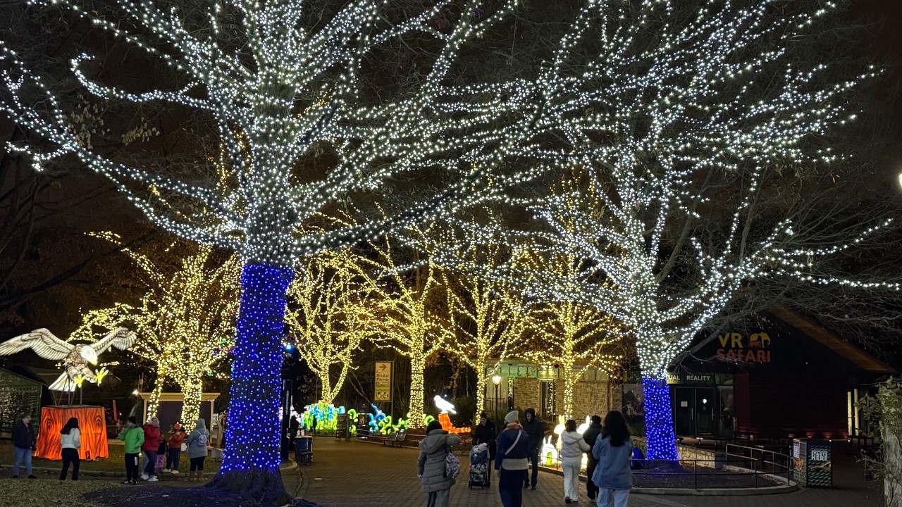 Walking ZooLights At The Smithsonian's National Zoo | DC Christmas Event | Washington DC | Nov 2025