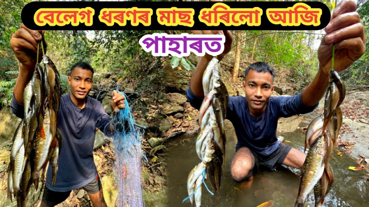 বেলেগ ধৰণৰ মাছ ধৰিলো আজি পাহাৰত !!