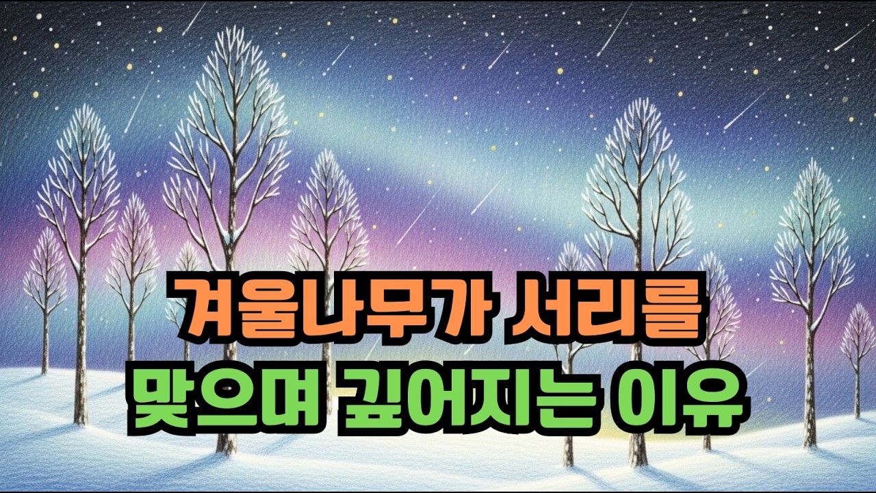 겨울나무가 서리를 맞으며 깊어지는 이유