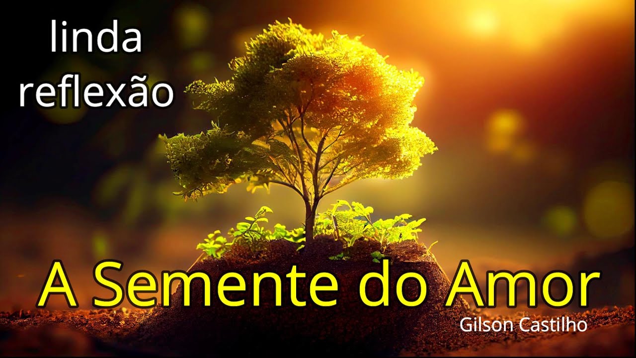 A Semente do Amor - Reflex&atilde;o