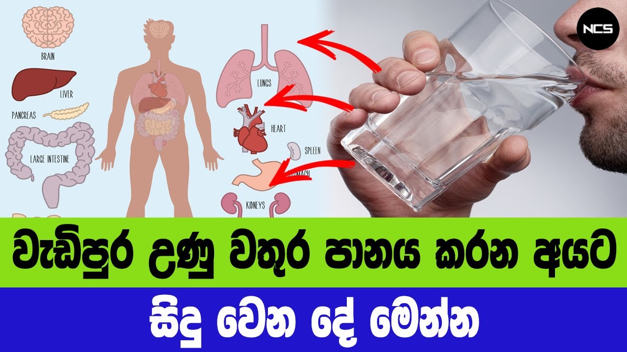 වැඩිපුර උණු වතුර පානය කරන අයට සිදු වෙන දේ මෙන්න - 5 Benefits of Drinking Hot Water