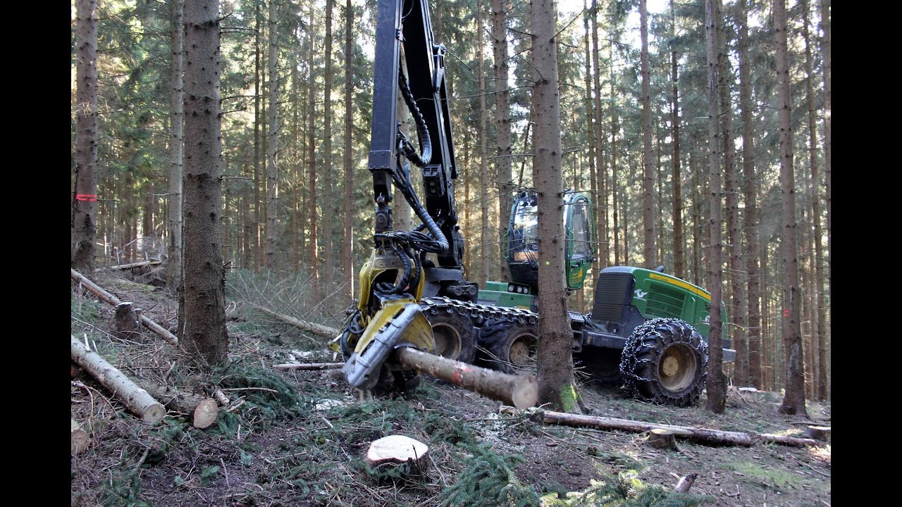 So schnell wie zehn Forstarbeiter: Harvester bei Holzernte